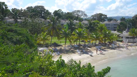 beach at caribbean resort with palm trees and lounge chairs