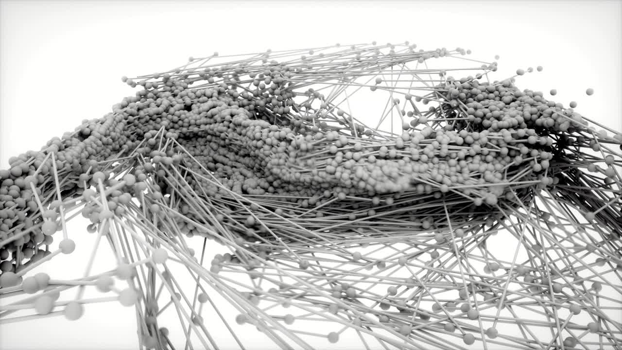 네트워크 데이터 흐름 분자 행동