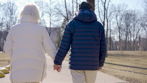 rear view of a senior couple holding hands and walking in the park on a winter day