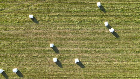 field with hay bales wrapped in white plastic paper, drone view