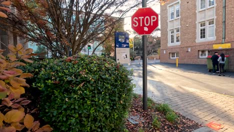 Stop sign near building with autumn foliage