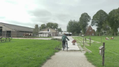 young woman walking with bike past cows on an organic dairy farm