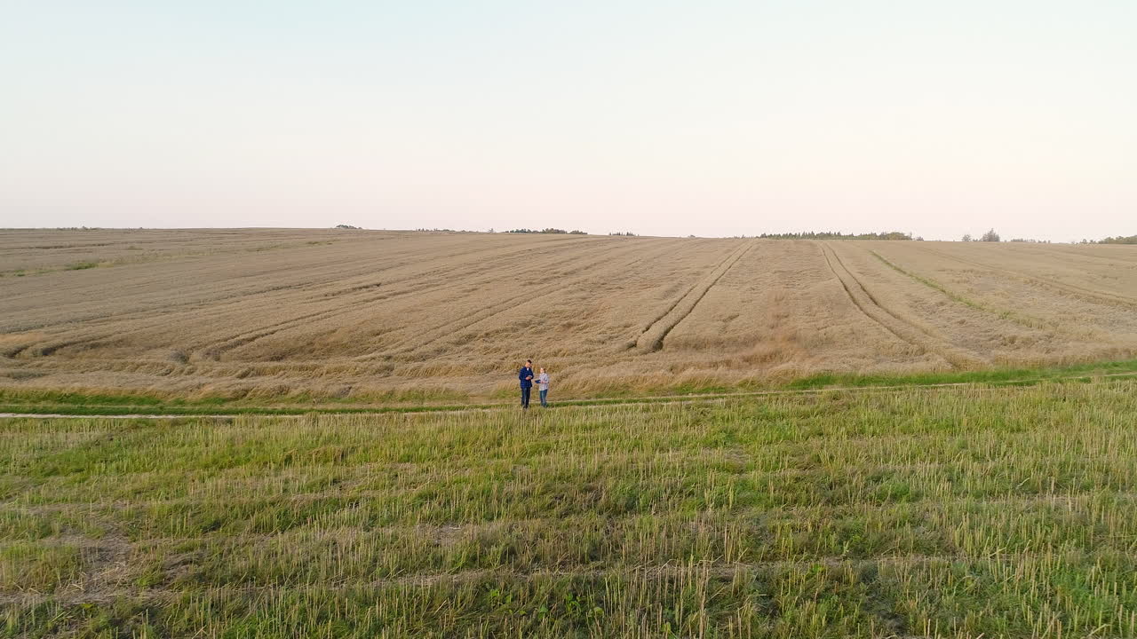 молодые фермеры обсуждают на кукурузном поле 8