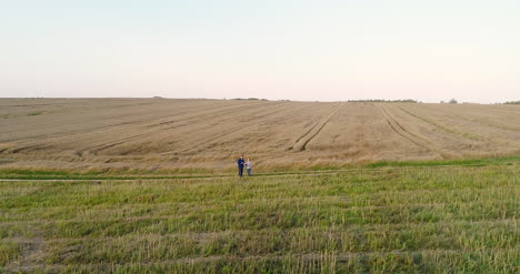 jóvenes agricultores discutiendo en el campo de maíz 8