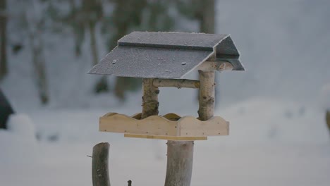 Small-bird-fighting,-flying,-searching,-and-eating-food-in-a-birdhouse-in-winter-with-nature-covered-in-snow-captured-in-slow-motion-in-240fps