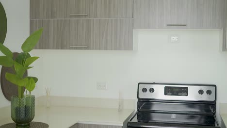 white-kitchen-with-black-stove-and-shelves