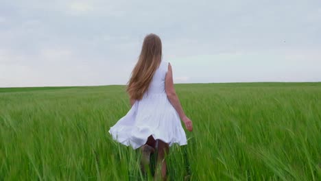 girl in a white dress runs across a green wheat field girl in a white dress runs across a green wheat field the concept of freedom