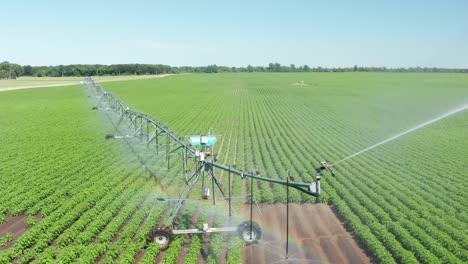 end gun of center pivot irrigation sprinklers watering agriculture crops, rainbow forming on sunny summer day