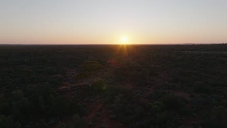 Leuchtend-Gelb-orangefarbener-Sonnenaufgang-über-Dem-Abgelegenen-Australischen-Outback-Mit-Hohen-Eukalyptusbäumen