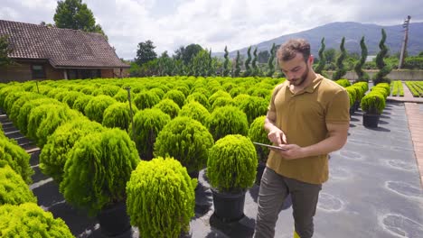 el cultivo de flores.