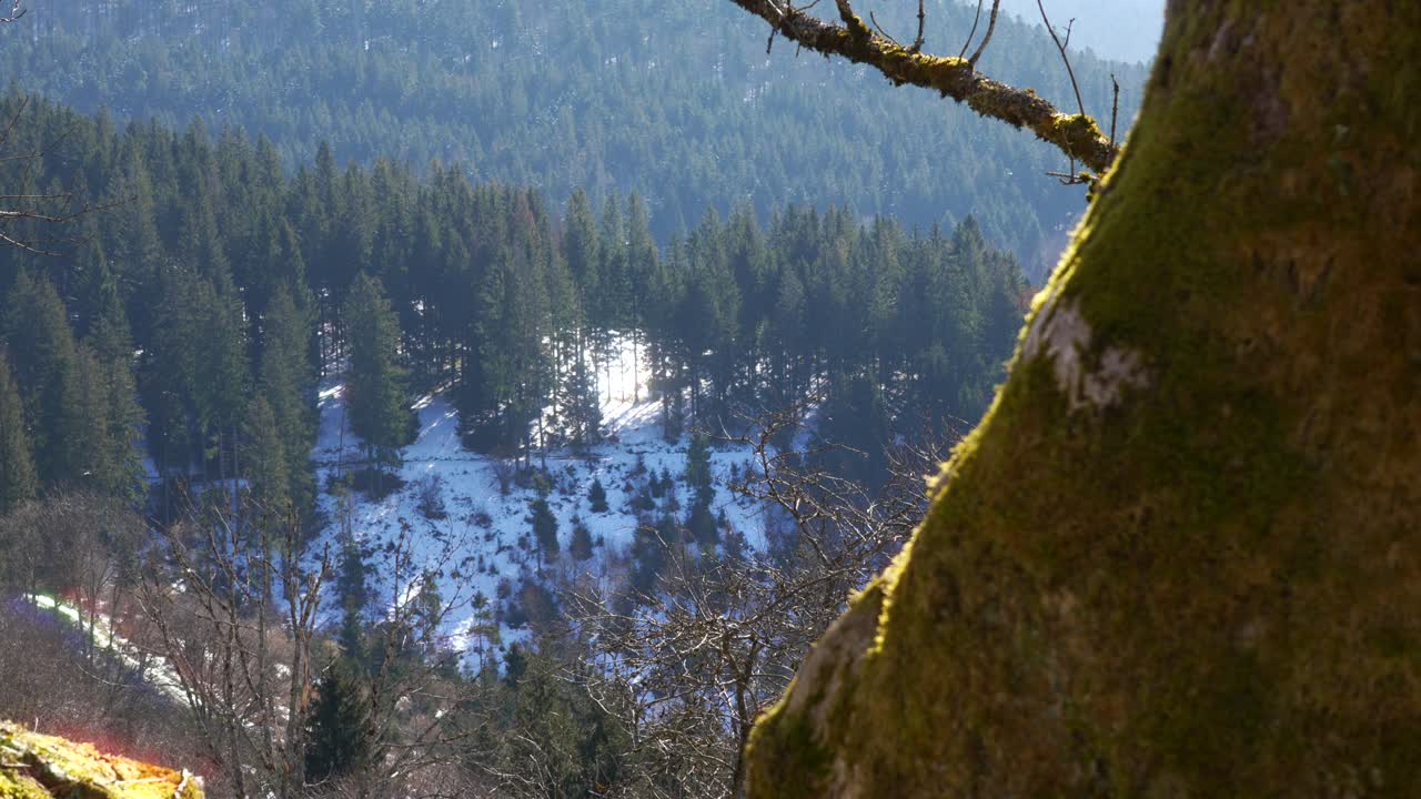 Vosges France alpine winter landscape viewpoint Palatine Forest woodland
