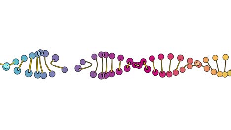 visualización en color del análisis de adn aislado en fondo blanco animación de rotación 3d, para montaje y capacitación médica