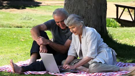 pareja mayor mirando una computadora portátil sentada en un mantel