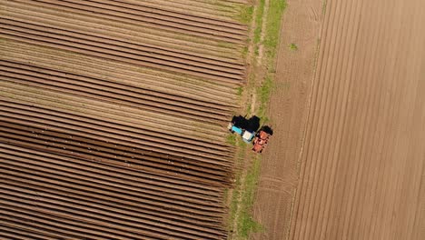 agricultural work on a tractor farmer sows grain. hungry birds are flying behind the tractor, and eat grain from the arable land.