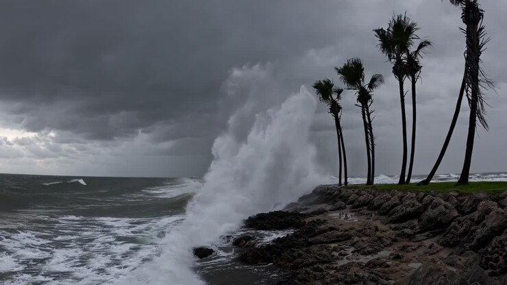 Dramatic wide-angle shot of stormy seas crashing against a rocky shore with palm trees swaying