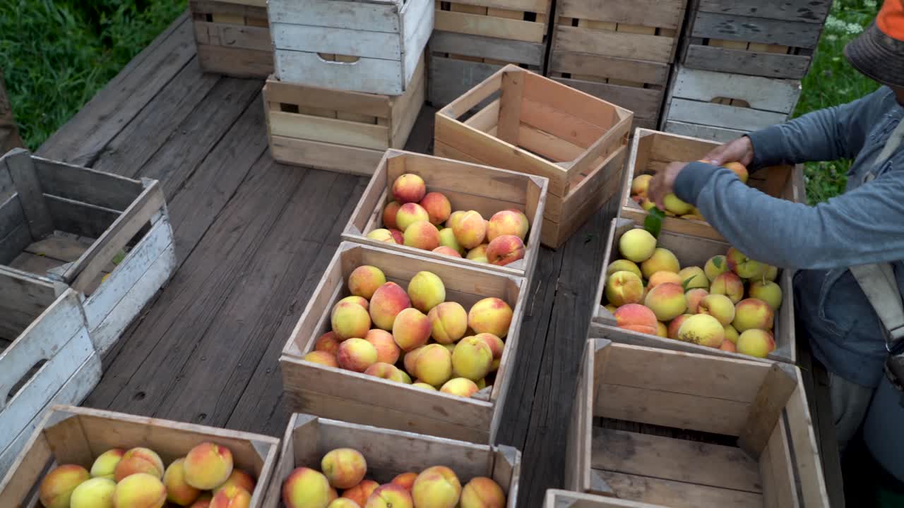 Peaches in Wooden Crates