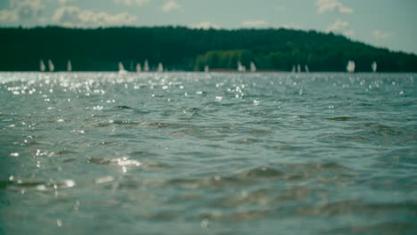 Ripples-and-sun-glare-on-the-water-waves-with-a-forest-in-the-backdrop