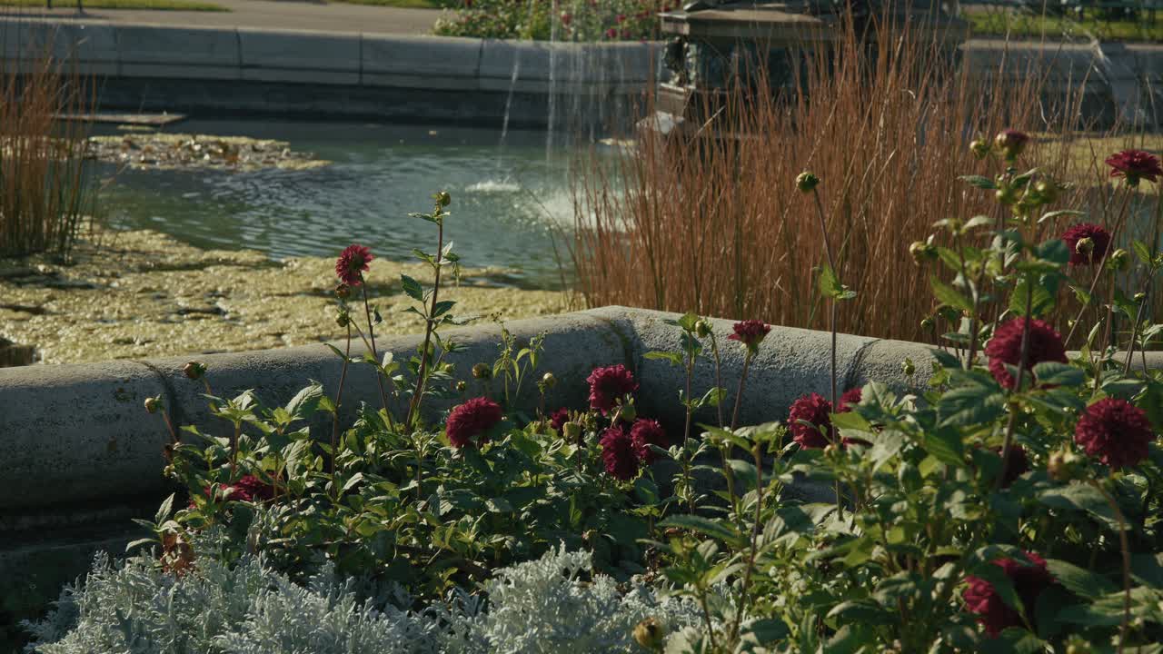 Detailed view of a fountain in Vienna's Volksgarten, surrounded by vibrant flowers and reeds