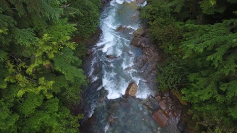 drone shot of a rocky stream in the middle of the beautiful green canadian forest