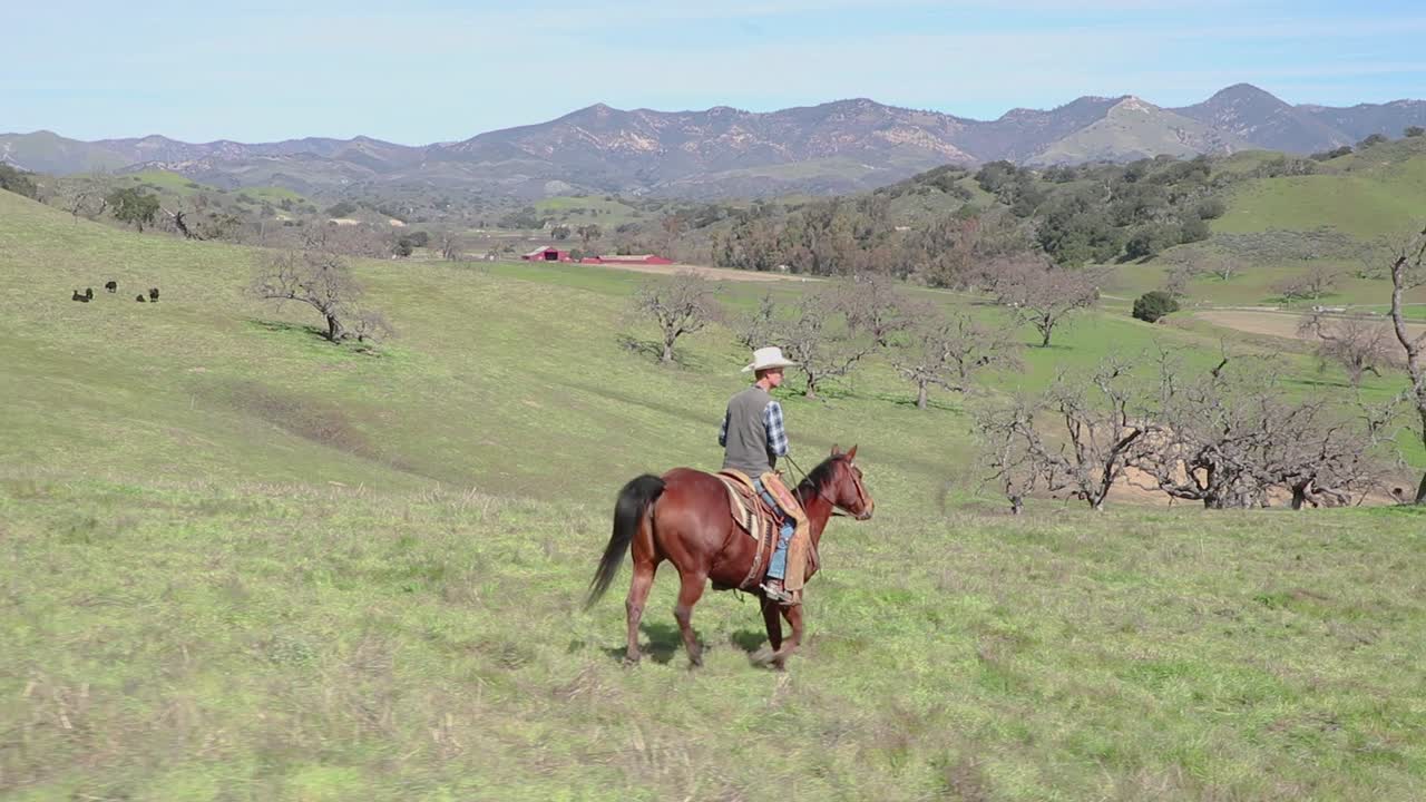 acercándose al fondo, el vaquero guía su caballo a través de las colinas para terminar el paseo