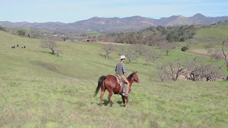 Acercándose-Al-Fondo,-El-Vaquero-Guía-Su-Caballo-A-Través-De-Las-Colinas-Para-Terminar-El-Paseo