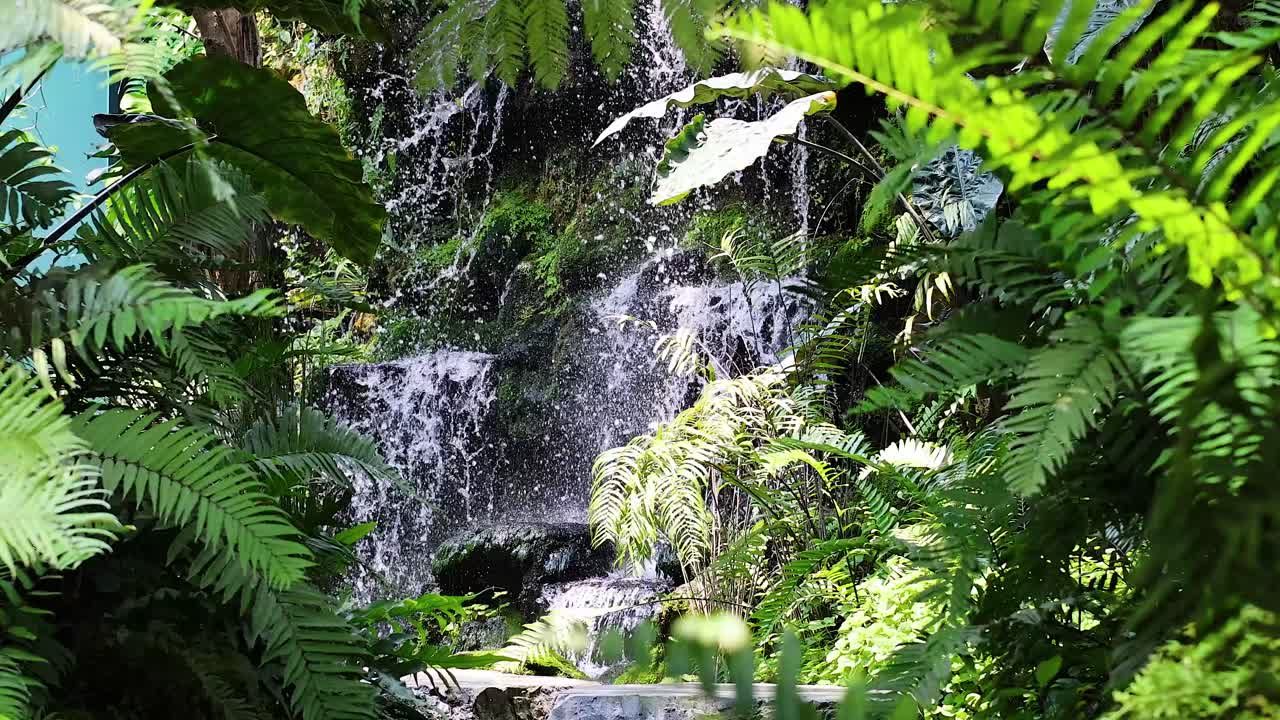 cascada rodeada de denso follaje verde