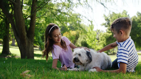 siblings playing with their dog in the park