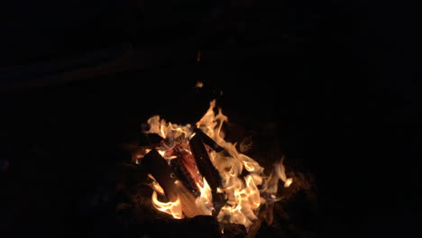 burning fire in the dark night