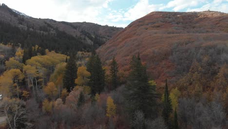 drone footage of colorful trees in the mountains