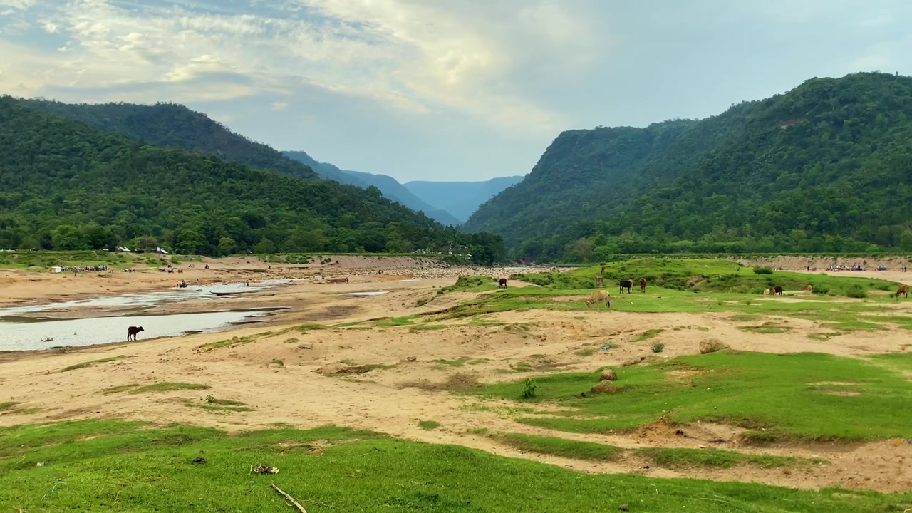Pemandangan gunung yang damai dengan ternak dan padang rumput hijau yang subur di sepanjang danau di bawah langit berawan cerah di Sylhet, Bangladesh