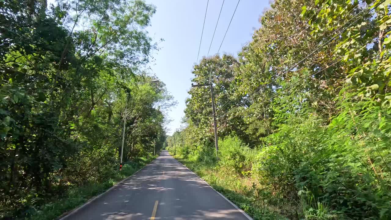 아름다운 숲 에 둘러싸인 도로 를 따라 여행 하는 것