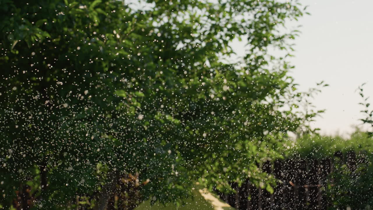 Light Dances Among Airborne Pollen Particles, Golden Pollen Floats Through Trees Surrounded By Shimmering Air, Sunshine Illuminates Drifting Pollen Particles Amid Lush Green And Blurred Motion