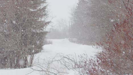 slomo de copos de nieve esponjosos cayendo en una carretera de campo de la línea de árboles