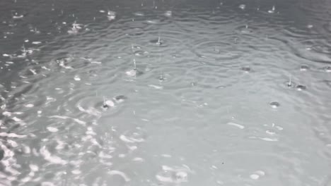 close-up-of-rain-drops-falling-into-big-puddle-pond-of-water