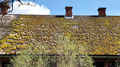 house roof moss covered old neglected home tiles countryside style lodge