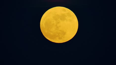 Degradado-Amarillo-Anaranjado-Teñido-De-Azul-Superluna-Contra-El-Cielo-Negro-Oscuro,-Brillo-Suave