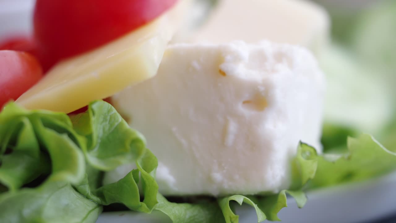 Close-up of fresh cheese and lettuce