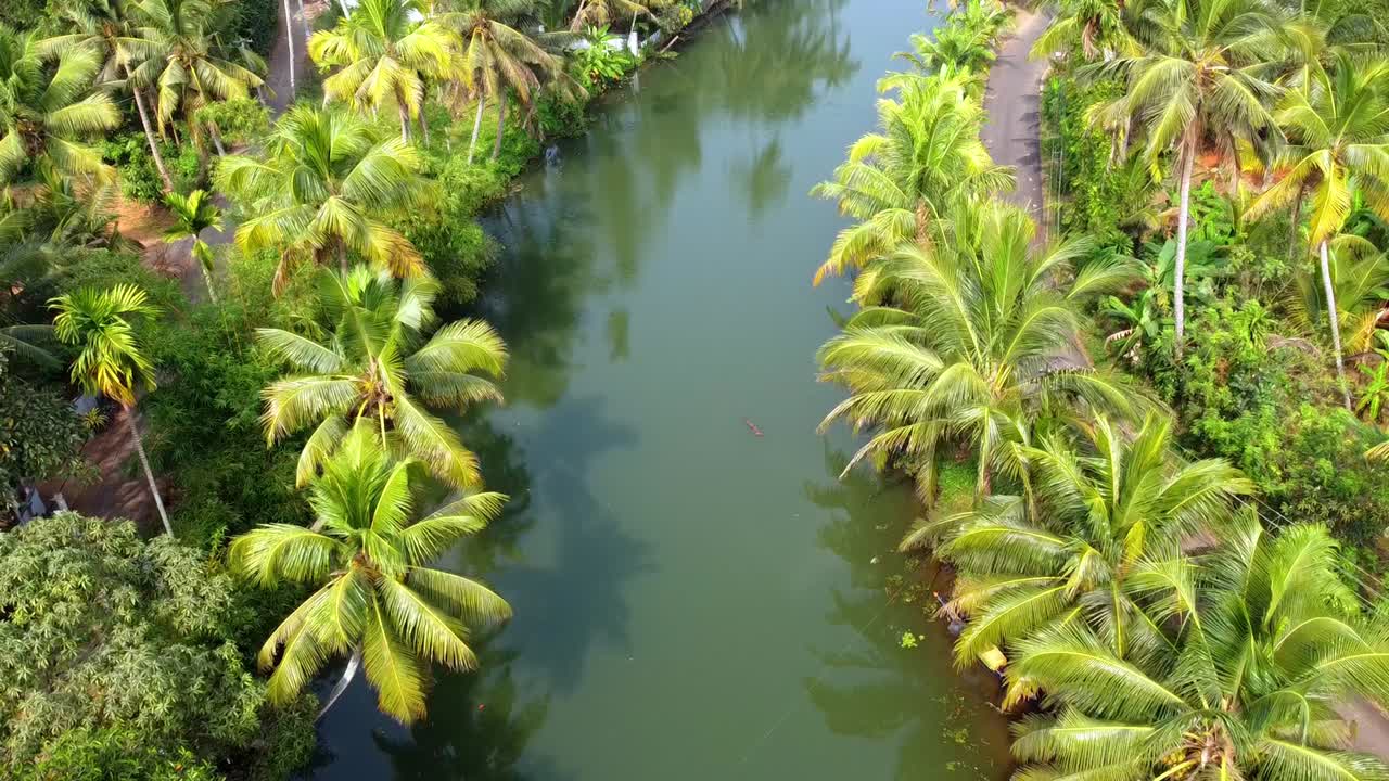 Breathtaking aerial view of a tranquil canal in Kerala's backwaters, lined with lush green coconut palms and tropical foliage under bright sunlight