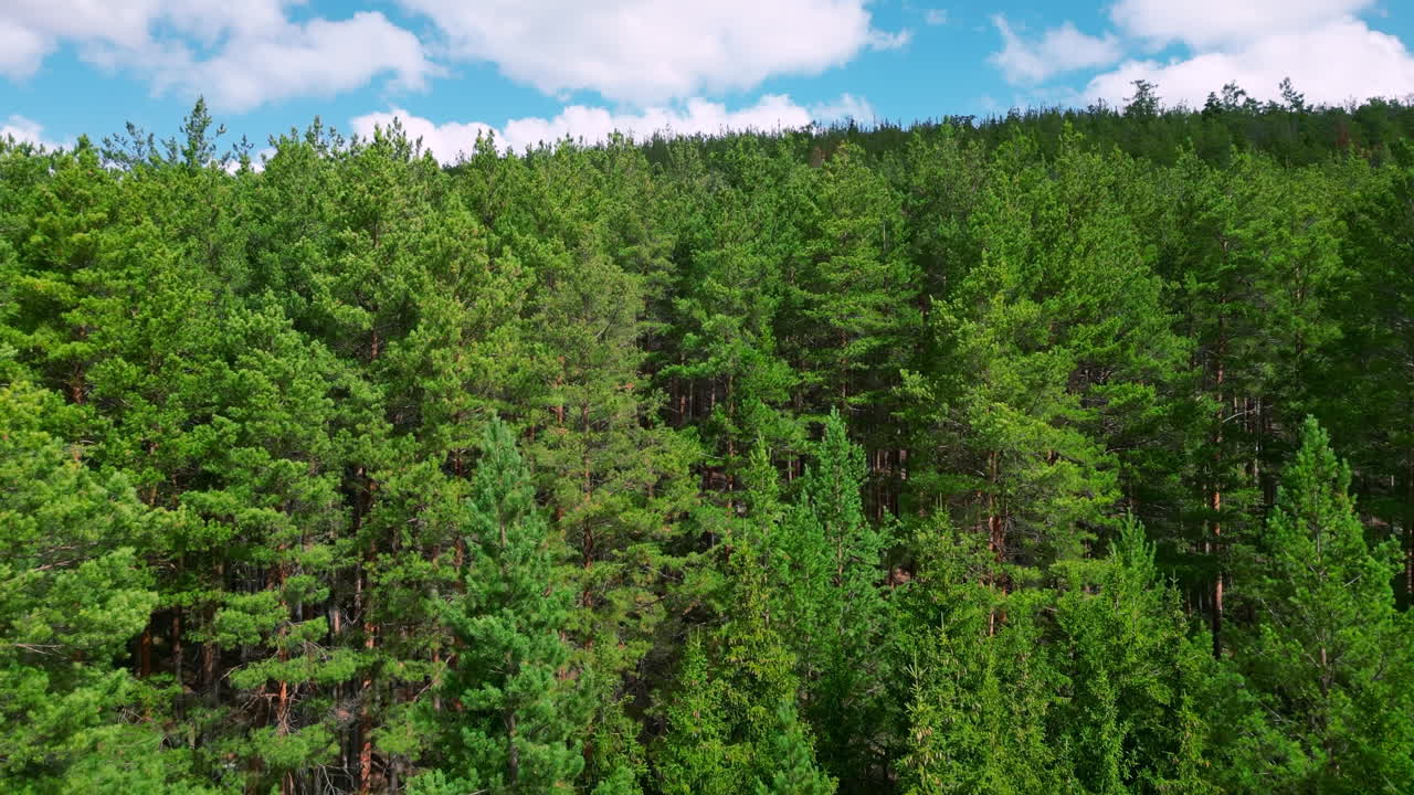 Aerial View of a Dense Forest Under a Cloudy Sky