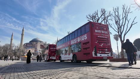 red busforus tour buses in front of hagia sophia, istanbul