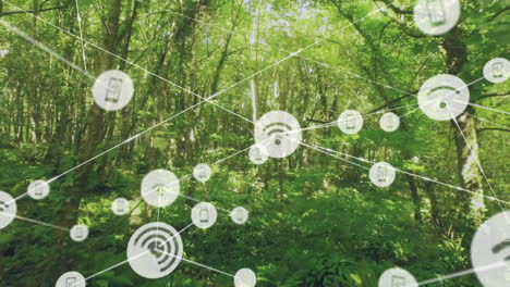 digital network overlay connecting wifi and mobile icons across forest scene, using flat design
