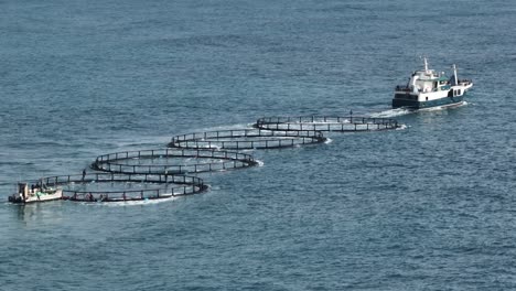 a mid sized marine vessel tows four fish farms along the west australian coast.