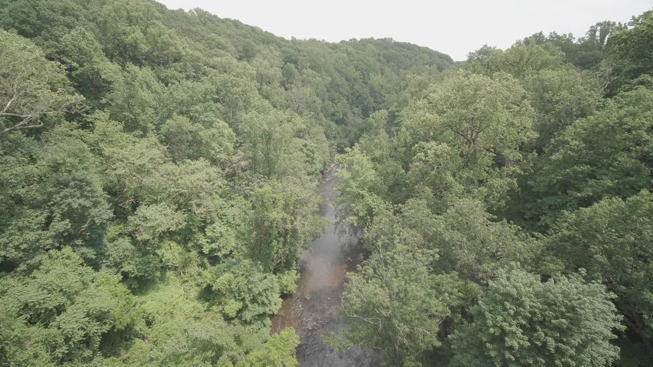 toma amplia alta del arroyo wissahickon, desde el puente walnut lane