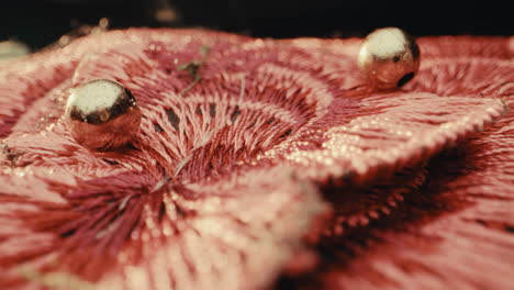 close-up of embroidered pink textile with beads