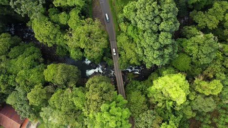 bridge on local road across lush green tropical vegetation, south america