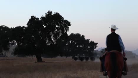 Camera-moves-across-the-road-as-the-cowboy-rides-his-horse-pushing-cattle-keeping-the-shot-dynamic