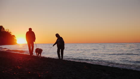 Paar-Spielt-Mit-Hund-Bei-Sonnenuntergang