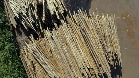 top down aerial view of impressive pile of wooden logs at a lumber yard