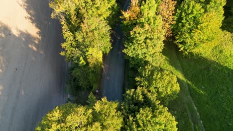 A-narrow-country-road-under-a-canopy-of-green-autumn-trees