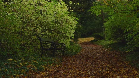 Bank-Mitten-Im-Wald-Im-Herbst